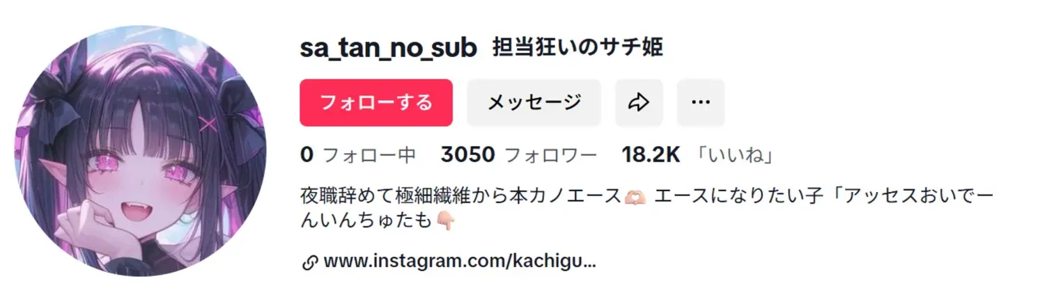 TikTokの「担当狂いのサチ姫」のプロフィール画面。勝ち組姫のさーたんと同じ人物（2025年5月・私たちの記録）